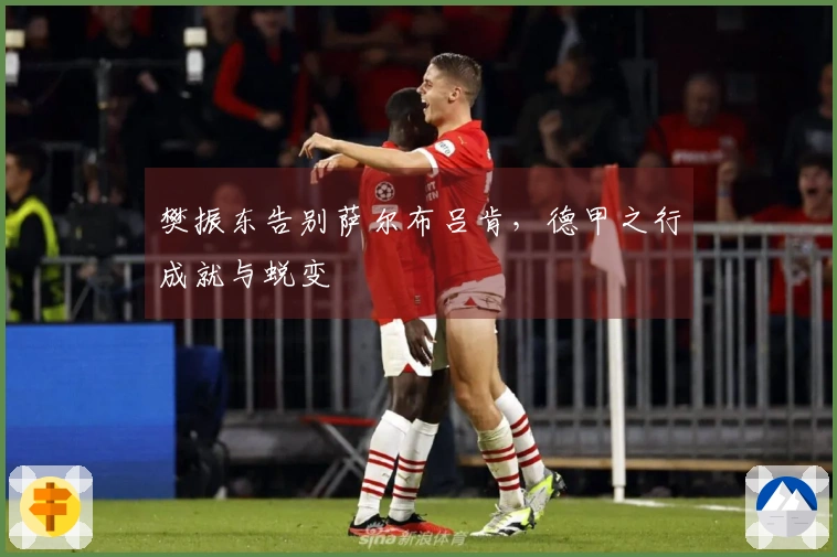 樊振东告别萨尔布吕肯，德甲之行成就与蜕变