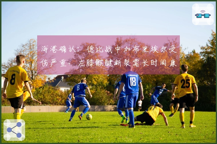 海港确认：德比战中加布里埃尔受伤严重，左膝髌腱断裂需长时间康复，赛季将尽显无缘