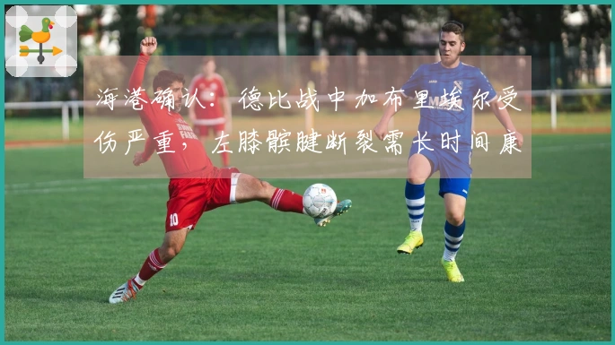 海港确认：德比战中加布里埃尔受伤严重，左膝髌腱断裂需长时间康复，赛季将尽显无缘